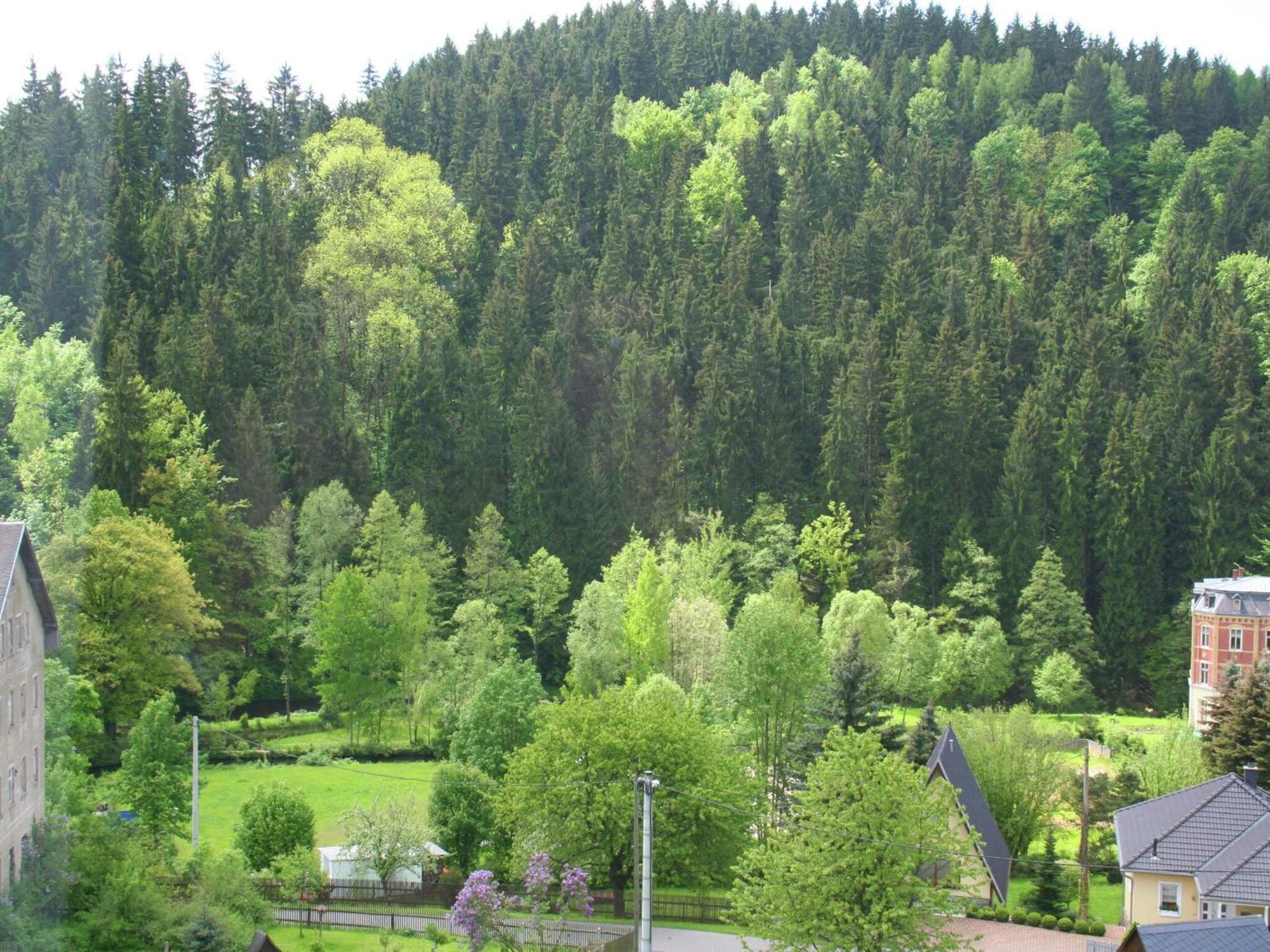 Alluring Villa In Grunhainichen Borstendorf With Garden Leubsdorf Екстер'єр фото