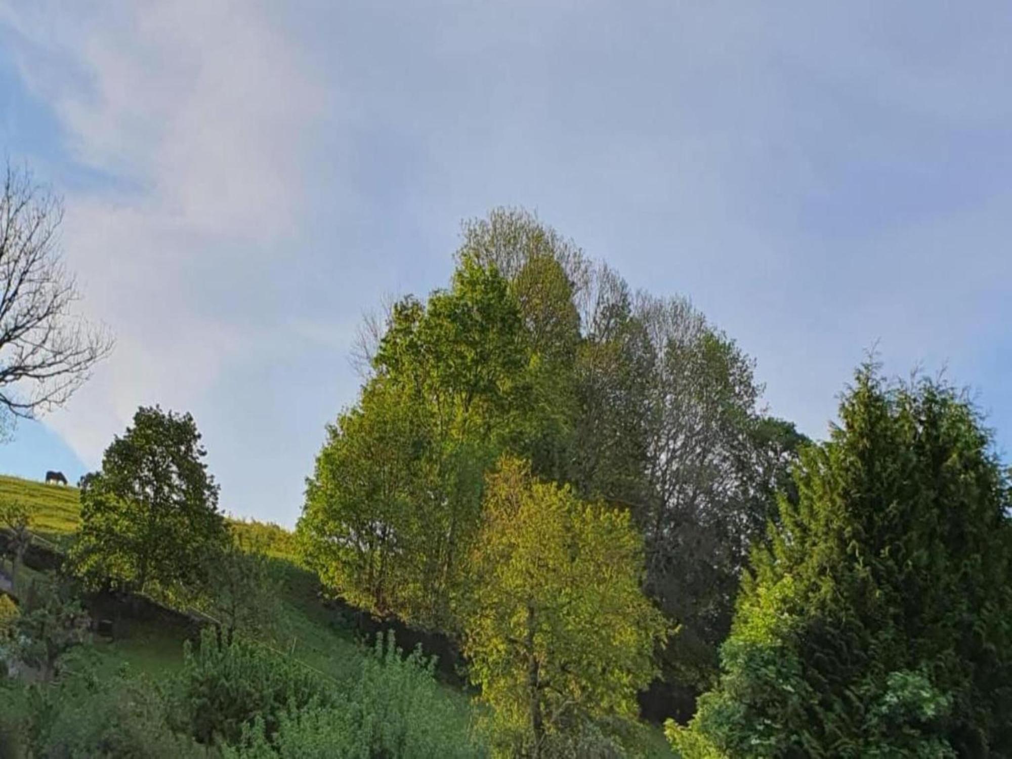 Alluring Villa In Grunhainichen Borstendorf With Garden Leubsdorf Екстер'єр фото