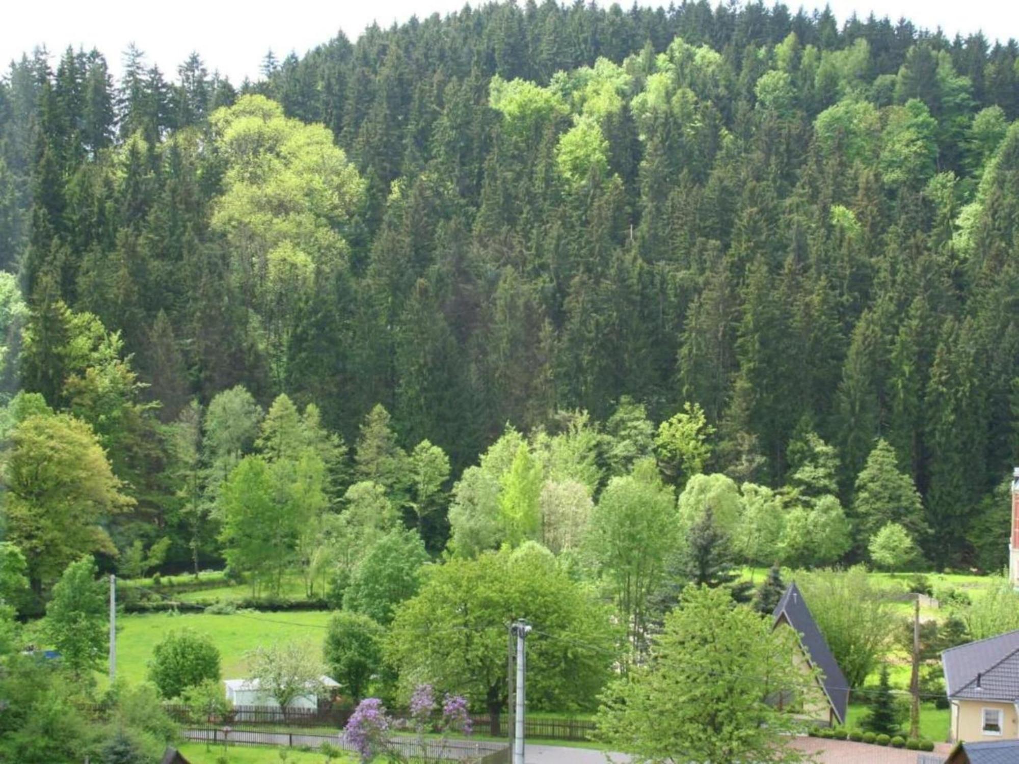 Alluring Villa In Grunhainichen Borstendorf With Garden Leubsdorf Екстер'єр фото